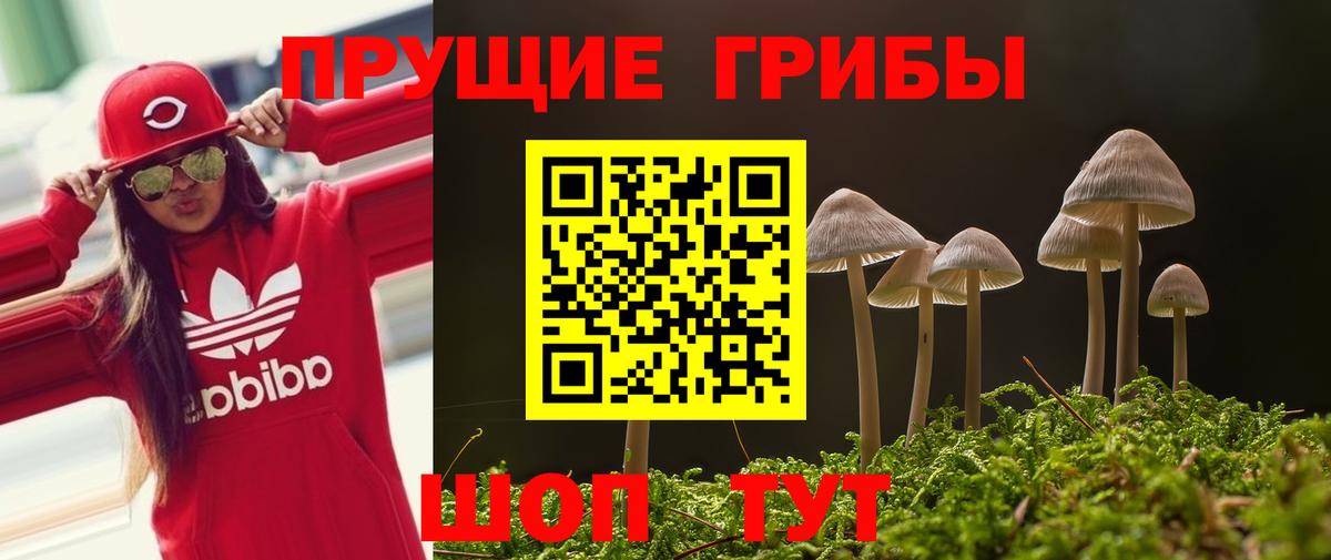 наркошоп  Псилоцибиновые грибы Psilocybe  Вход с VPN  Когалым 
